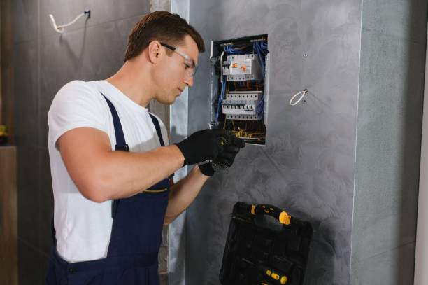 Best Electric Panel Repair  in Western Springs, IL