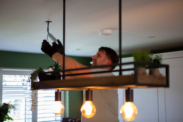 Best Electrician for Home Renovation  in Western Springs, IL